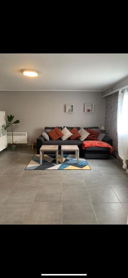 Apartamento Convivialetzen Chatenoy-le-Royal Exterior foto