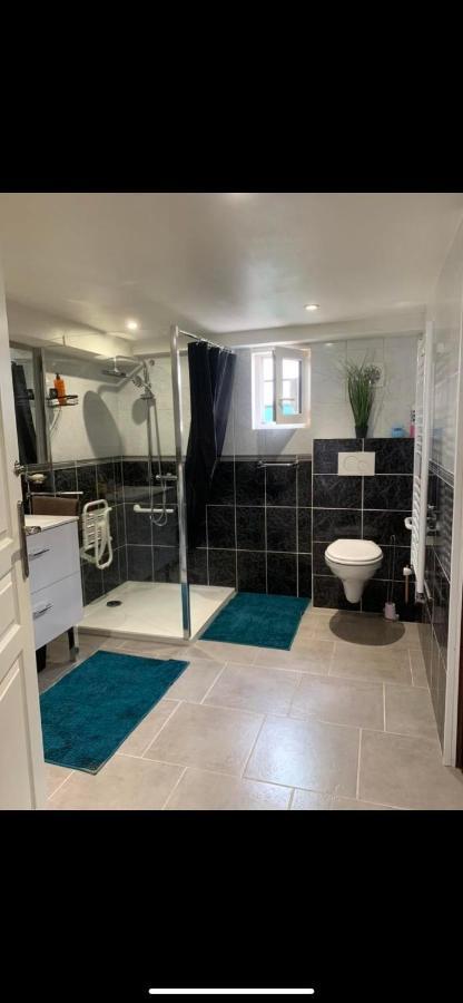 Apartamento Convivialetzen Chatenoy-le-Royal Exterior foto